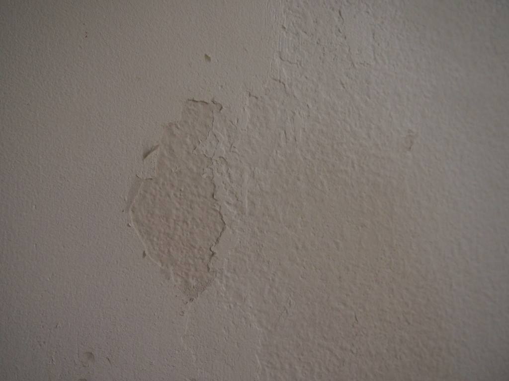 We had a fair amount of this kind of thing under the wallpaper.