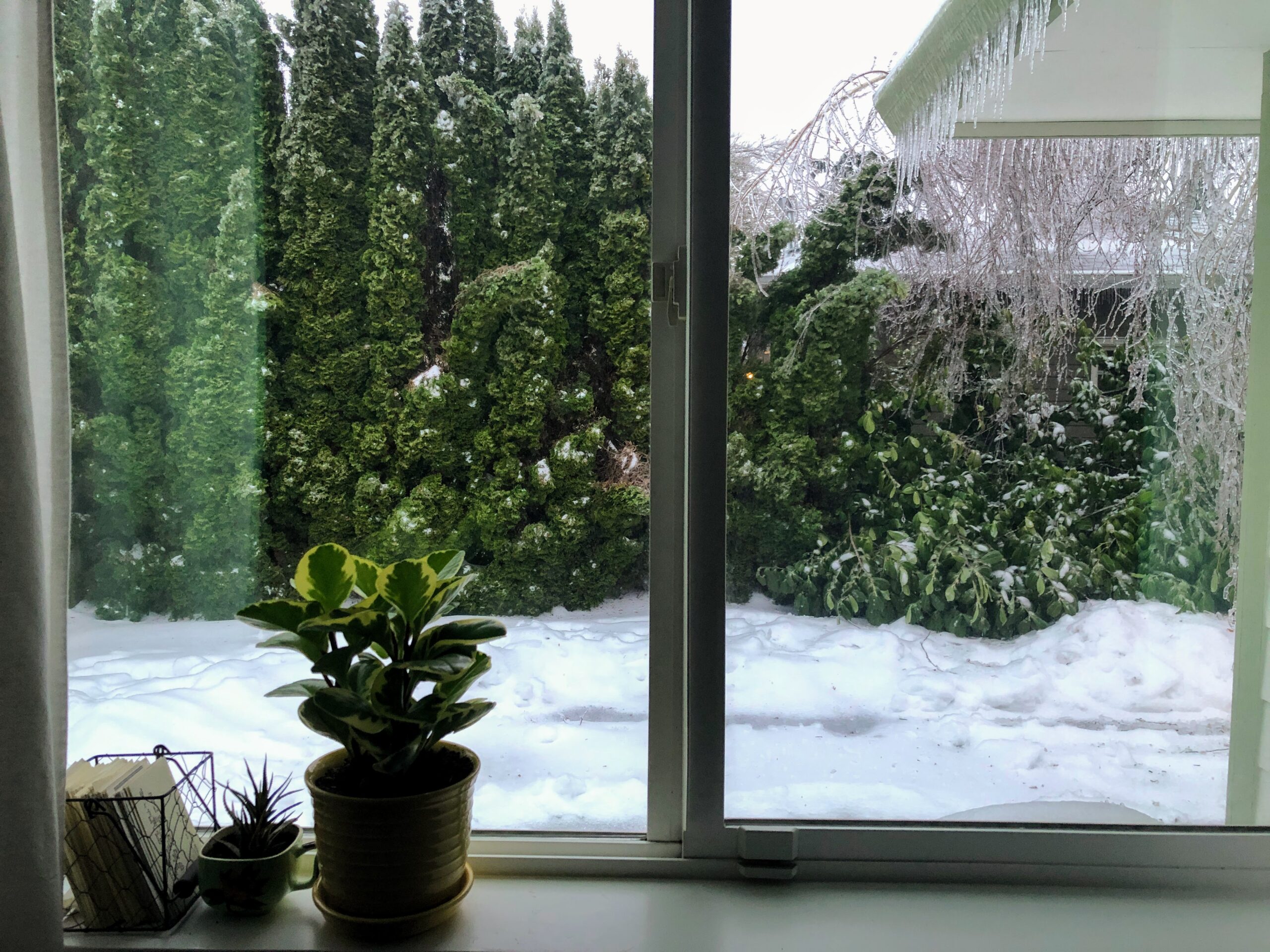 View of snow-covered driveway through a bedroom window. Trees covered with ice and icicles hanging from roof.