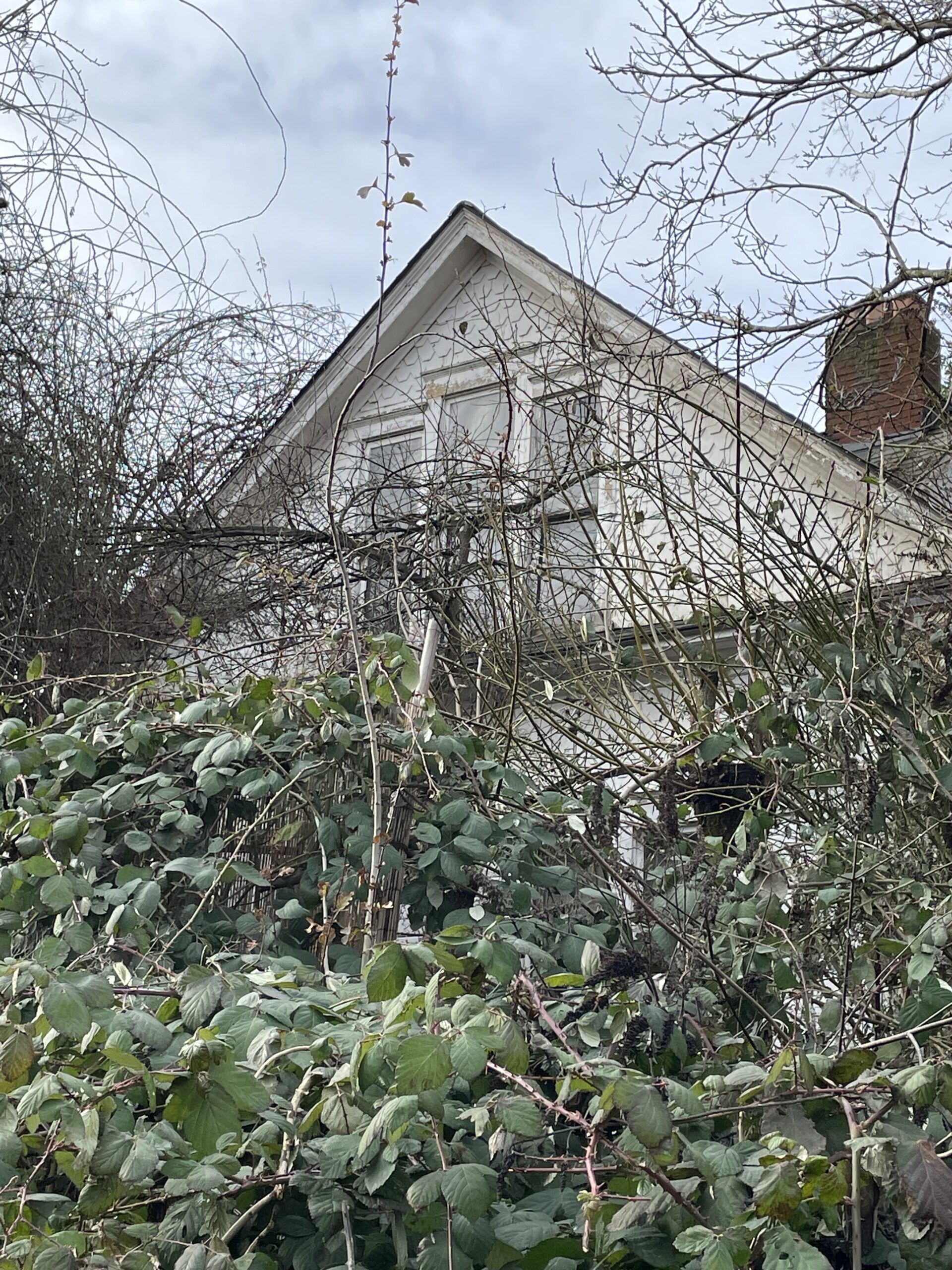 An old, grand house almost invisible behind overgrown branches and brambles.